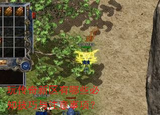 玩传奇新区有哪些必知技巧与注意事项? 玩传奇新区有哪些必知技巧与注意事项?