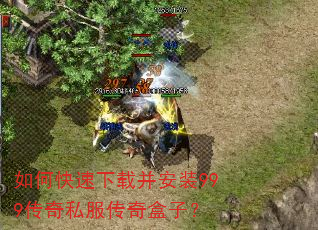 如何快速下载并安装999传奇私服传奇盒子? 如何快速下载并安装999传奇私服传奇盒子?