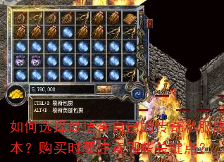 如何选择最适合自己的传奇私服版本?购买时要注意哪些关键点? 如何选择最适合自己的传奇私服版本?购买时要注意哪些关键点?