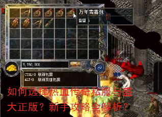 如何选择热血传奇私服与盛大正版?新手攻略全解析? 如何选择热血传奇私服与盛大正版?新手攻略全解析?