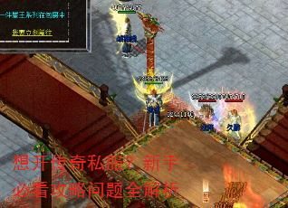 想开传奇私服?新手必看攻略问题全解析 想开传奇私服?新手必看攻略问题全解析