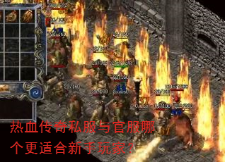 ��Ѫ����˽����ٷ��ĸ����ʺ�������ң�