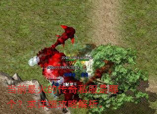��ǰ���Ĵ���˽�����ĸ�������ϸ���Խ�����