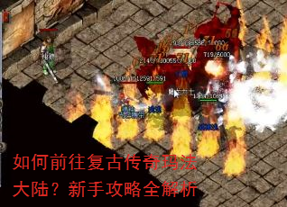 ���ǰ�����Ŵ����귨��½�����ֹ���ȫ����