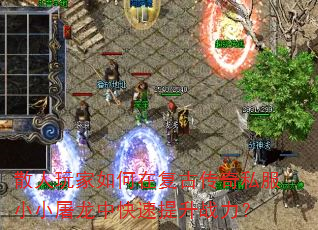 ɢ���������ڸ��Ŵ���˽��СС�����п�������ս����