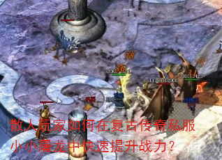 ɢ���������ڸ��Ŵ���˽��СС�����п�������ս����