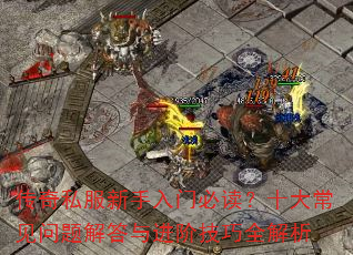 ����˽���������űض���ʮ�󳣼�����������׼���ȫ����