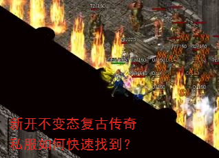 �¿�����̬���Ŵ���˽����ο����ҵ���