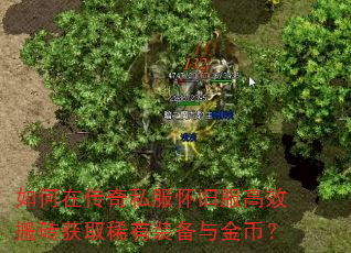 ����ڴ���˽�����ɷ���Ч��ש��ȡϡ��װ�����ң�