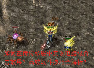 ����ڴ���˽����ʵ�ֵ��Լ��ϻ�Ч������Чս������ȫ������