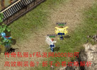 ����˽��sf˽����6000��θ�Чˢװ�������ֱؿ����Խ���