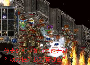 ����SF������ο���������ս��������������Щ��