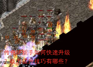 ����SF������ο���������ս��������������Щ��