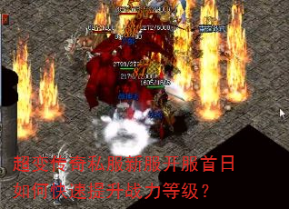 ���䴫��˽���·�����������ο�������ս���ȼ���