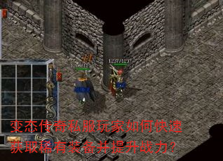 ��̬����˽�������ο��ٻ�ȡϡ��װ��������ս����