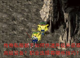 ����˽��������ο�����������ȡ�߼�װ����ְҵѡ������Щ���ɣ�