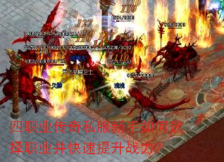 ��ְҵ����˽���������ѡ��ְҵ����������ս����