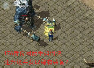 176������������ο�����������ȡϡ��װ����