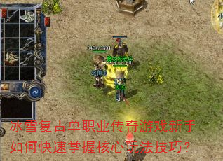 ��ѩ���ŵ�ְҵ������Ϸ������ο������պ����淨���ɣ�