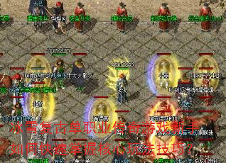 ��ѩ���ŵ�ְҵ������Ϸ������ο������պ����淨���ɣ�