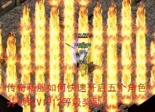 ����˽����ο��ٿ��������ɫ����ȡVIP12�ȼ�������