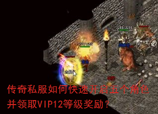 ����˽����ο��ٿ��������ɫ����ȡVIP12�ȼ�������