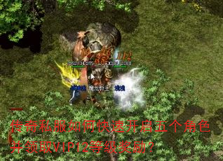 ����˽����ο��ٿ��������ɫ����ȡVIP12�ȼ�������