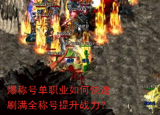 ���ƺŵ�ְҵ��ο���ˢ��ȫ�ƺ�����ս����