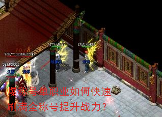 ���ƺŵ�ְҵ��ο���ˢ��ȫ�ƺ�����ս����