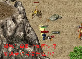 ���ƺŵ�ְҵ��ο���ˢ��ȫ�ƺ�����ս����