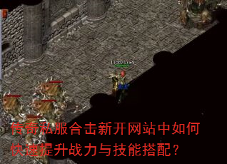 ����˽���ϻ��¿���վ����ο�������ս���뼼�ܴ��䣿