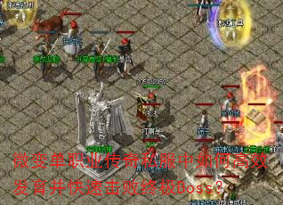 ΢�䵥ְҵ����˽������θ�Ч���������ٻ����ռ�Boss��