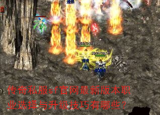 ����˽��sf�������°汾ְҵѡ����������������Щ��