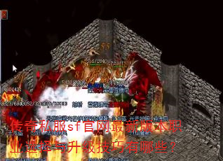 ����˽��sf�������°汾ְҵѡ����������������Щ��