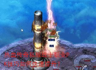 ��Ѫ����˽��սʿְҵPK������ο���������