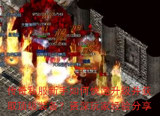 ����˽��������ο�����������ȡ����װ����������Ҿ������