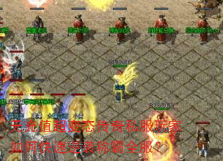 �޳�ֵ����̬����˽�������ο�����Ϯ�ư�ȫ����