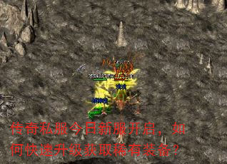 ����˽�������·���������ο���������ȡϡ��װ����