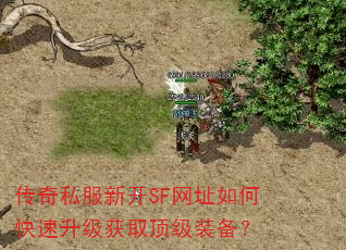 ����˽���¿�SF��ַ��ο���������ȡ����װ����