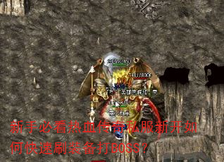 ���ֱؿ���Ѫ����˽���¿���ο���ˢװ����BOSS��