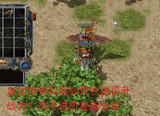 Ѫ������˽����ο�������ս�������ֽ����ؼ�����