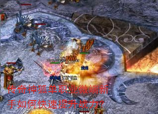 ���������ְҵ΢��������ο�������ս����