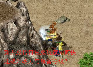 �¿�������˽�������ο�������ս����װ���ȼ���