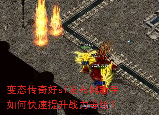 ��̬�����sf������������ο�������ս���ȼ���