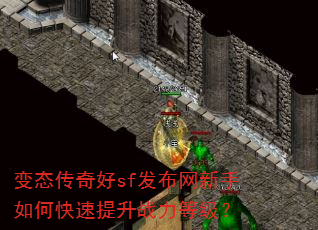 ��̬�����sf������������ο�������ս���ȼ���