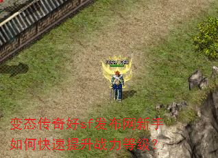 ��̬�����sf������������ο�������ս���ȼ���