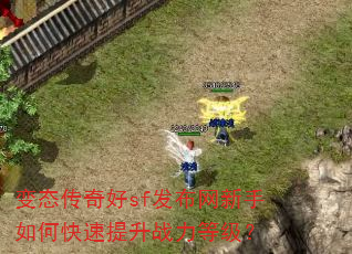 ��̬�����sf������������ο�������ս���ȼ���