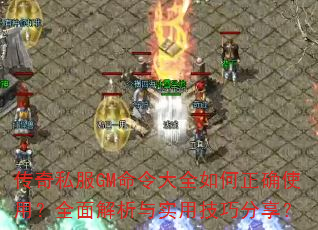 ����˽��GM�����ȫ�����ȷʹ�ã�ȫ�������ʵ�ü��ɷ�����