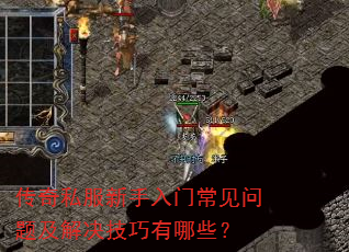 ����˽���������ų������⼰�����������Щ��