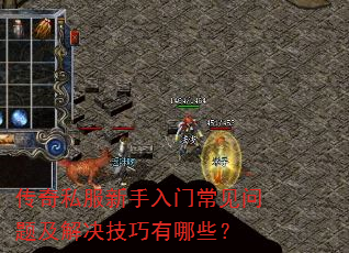 ����˽���������ų������⼰�����������Щ��